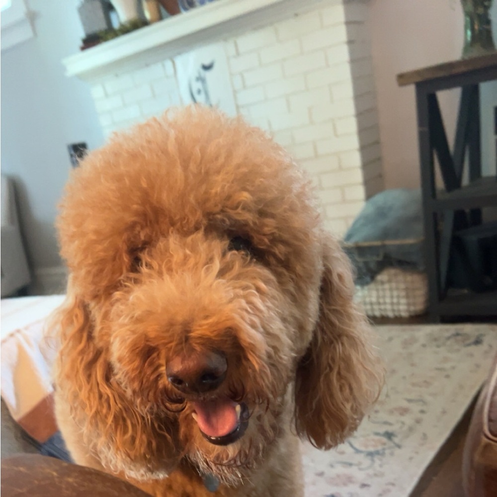 Meet your Posher, Marybeth